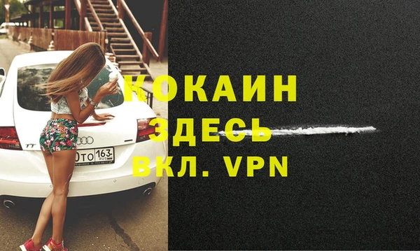 сатива Волоколамск