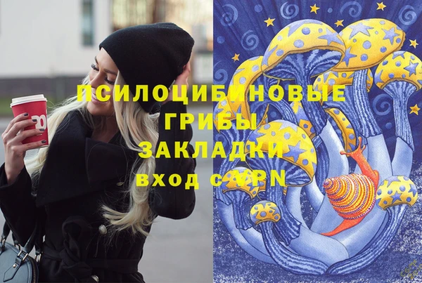 сатива Волоколамск