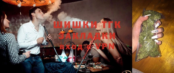 прущие грибы Верхний Тагил