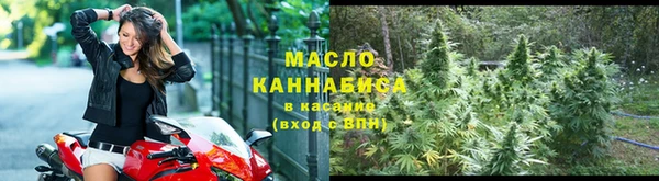 сатива Волоколамск