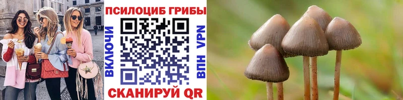 Галлюциногенные грибы Cubensis ОМГ ОМГ онион Щёлково купить наркоту